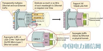 采用FPGA實現100G光傳送網